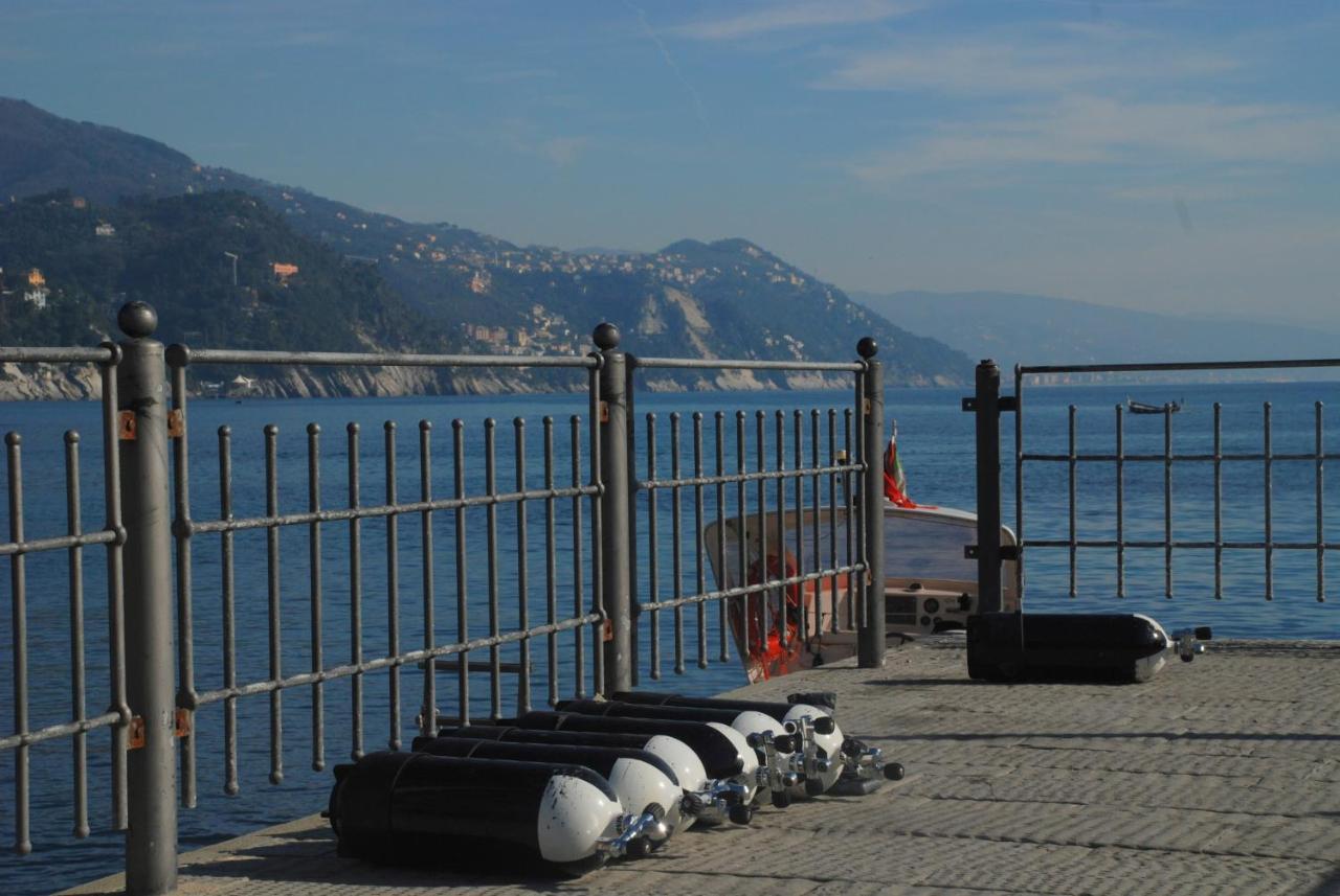 Beachfront, Seaview And Terrace - Portofino Gulf San Michele di Pagana Dış mekan fotoğraf